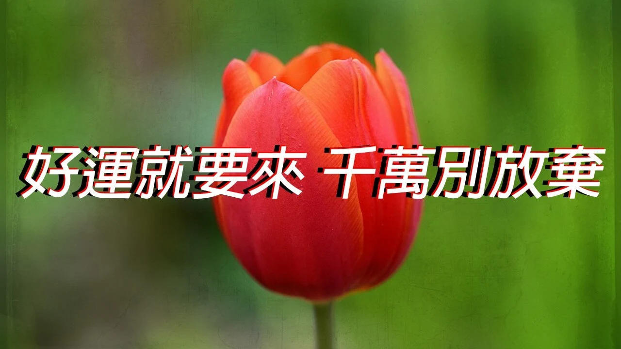 獎品圖片 獎品圖片