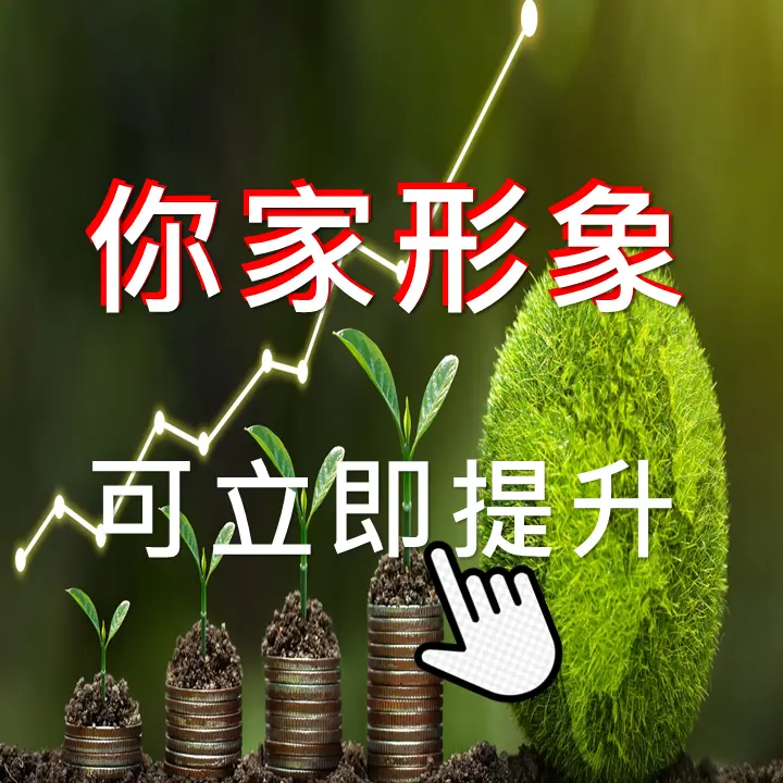 形象提升方案 icon